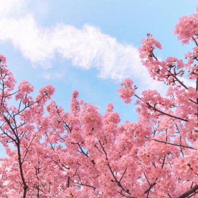 11玩灵剑仙师下载